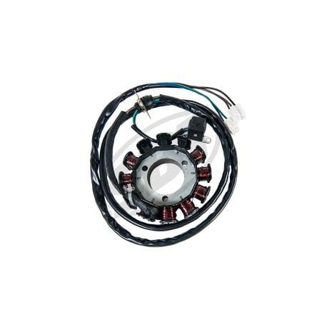 Stator adaptable pour jet ski Kawasaki 14-209A