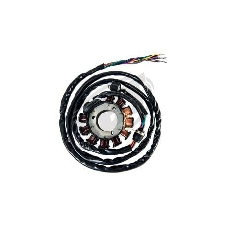 Adaptable stator for Kawasaki jet ski 14-209