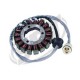 Kawasaki 2T or 4T stator