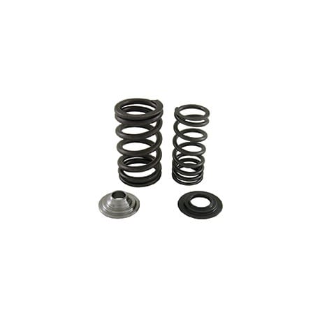 Riva Yam valve spring kit. 1.8L