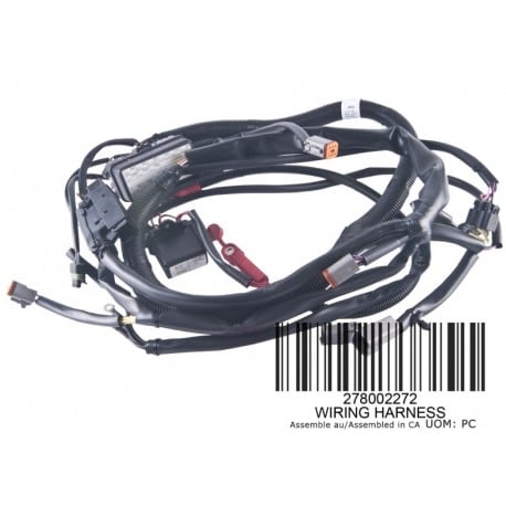 MAIN WIRING WIRING HARNESS, 278002272