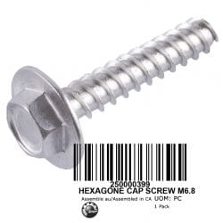 HEXAGON CAP SCREW M6.8, 250000399 HEXAGON CAP SCREW M6.8, 250000399
