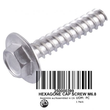 HEXAGONE CAP SCREW M6.8, 250000399