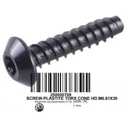 Torx screw M6.81 X 30 Torx screw M6.81 X 30