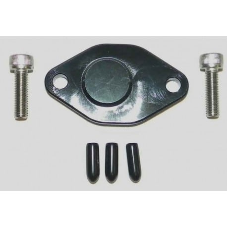 WSM Oil Pump Removal Plate
