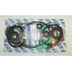 Complete seal kit for Seadoo 2T