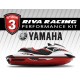RIVA Stage 3 kit for FZR / FZS from 2014+