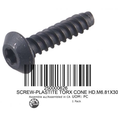 Screw Torx M6.81 X 30