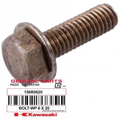 BOLT-WP, 6X20