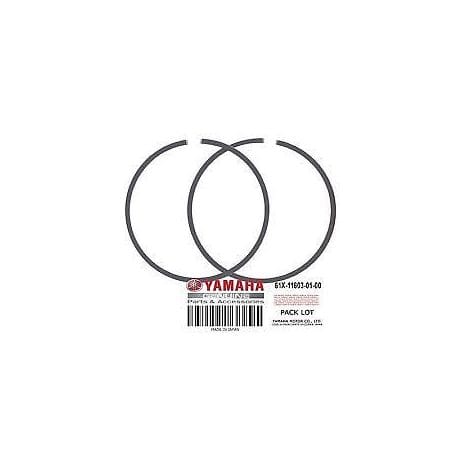 PISTON RING SET (0.25MM O S)   AP