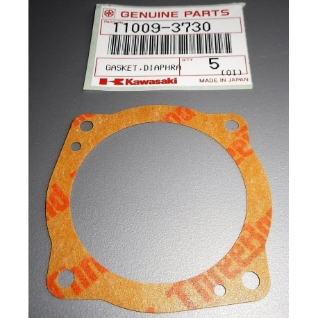 GASKET, DIAPHRAGM