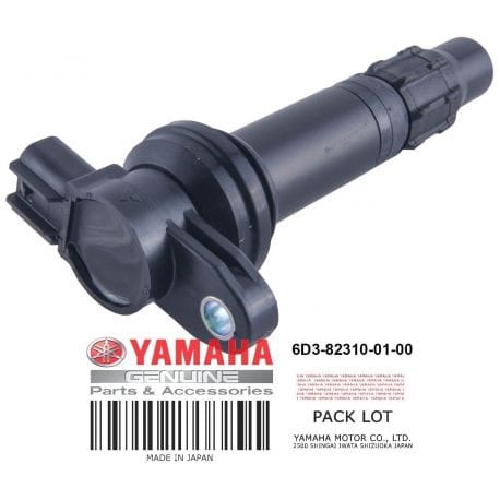 IGNITION COIL ASSY