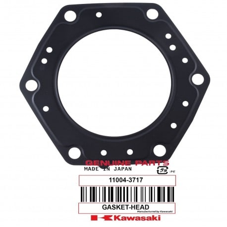 GASKET-HEAD