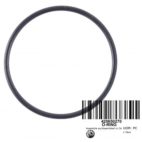 O-Ring