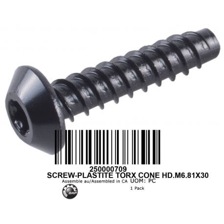 Screw Torx M6.81 X 30