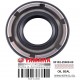 OIL SEAL