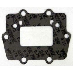 GASKET,REED VALVE GASKET,REED VALVE