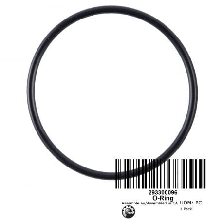 O-Ring