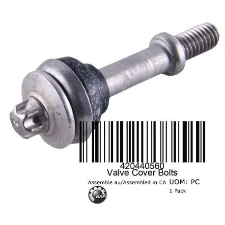 Allen Screw M6 x 30.5