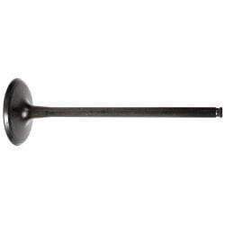 WSM intake and exhaust valves