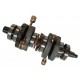 Crankshaft for seadoo