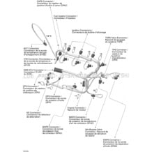 10- Engine Harness pour Seadoo 2004 GTX 4-TEC, 2004