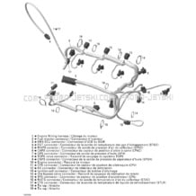 10- Engine Harness pour Seadoo 2005 GTX 4-TEC, WAKE, 2005