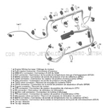 10- Engine Harness pour Sea-Doo 2005 GTX 4-TEC, Supercharged, 2005