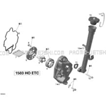 02- Oil Separator pour Seadoo 2009 RXT iS 255, 2009