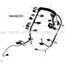 10- Engine Harness pour Seadoo 2009 RXT iS 255, 2009