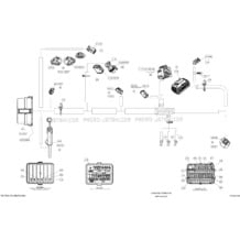 10- Electrical Harness pour Sea-Doo 2013 RXT 260 & RS, 2013