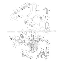 01- Engine Support And Muffler pour Sea-Doo 1998 GSX Limited 5625, 1998