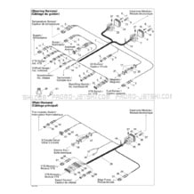 10- Electrical Harness pour Sea-Doo 2001 XP, 5530 5531, 2001