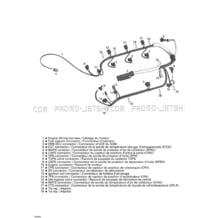 10- Engine Wiring Harness pour Sea-Doo 2004 RXP, 2004