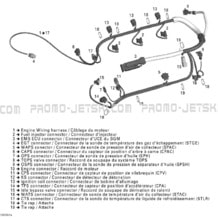 10- Engine Harness pour Seadoo 2005 RXP, 2005