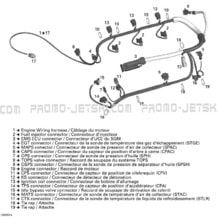 10- Engine Harness pour Seadoo 2005 RXT, 2005