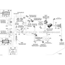 GTX LTD iS 260'13 OEM (Electrical-System) BATTERY GROUND