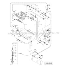 01- Cooling System pour Seadoo 2002 RX DI (LE), 5583 5584 5585, 2002