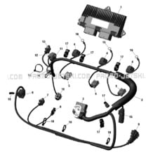 10- Engine Harness And Electronic Module pour Sea-Doo 2019 002 - RXT 300, 2019