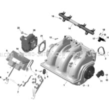 01- Engine - Air Intake Manifold - GTX - RXT pour Sea-Doo 2020 001 - RXT 300, 2020