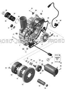 ROTAX - Magneto and Electric Starter pour Sea-Doo 2023 RXP X 300 SPECIAL SERIES