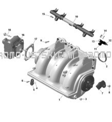 ROTAX - Air Intake Manifold And Throttle Body pour Sea-Doo 2023 WAKE PRO 230
